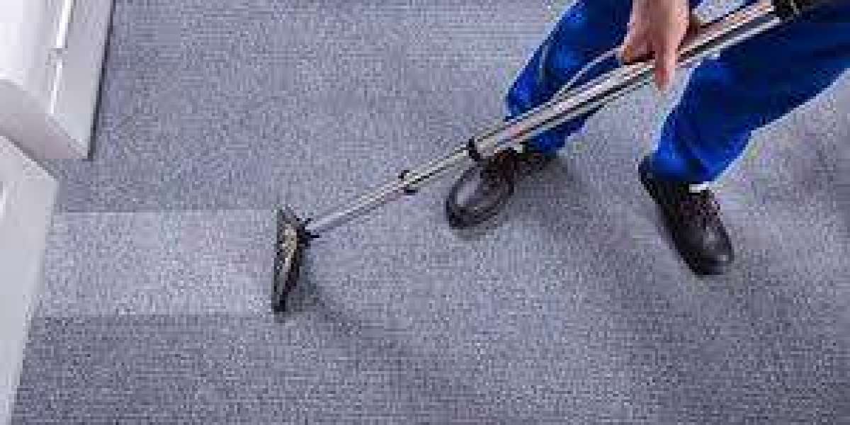 Maximize Your Home’s Comfort with Professional Carpet Cleaning