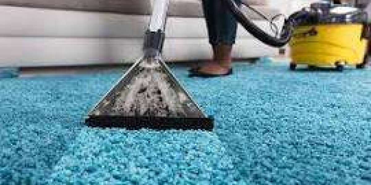 How Professional Carpet Cleaning Services Enhance Home Serenity