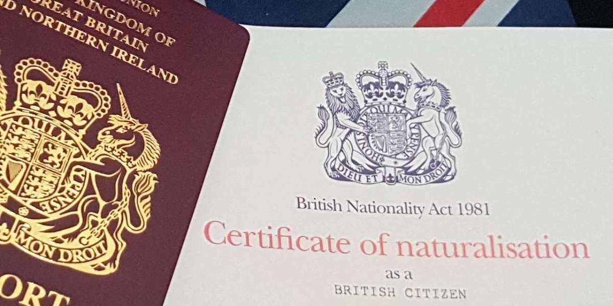 The Role of a Naturalisation Lawyer in Your Path to Citizenship