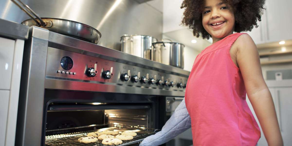 15 Up-And-Coming Built-In Ovens Bloggers You Need To Check Out