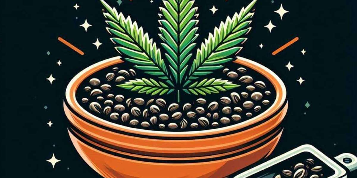 The Legacy of Jack Herer Weed Plant Seeds: A Cultivar Worth Growing