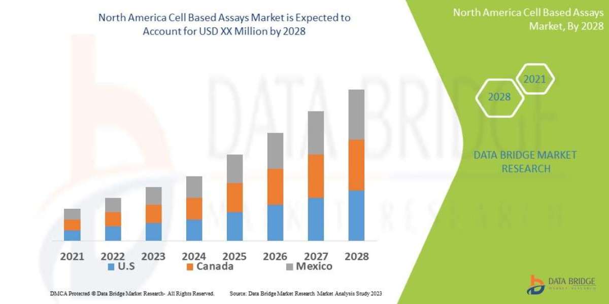 North America Cell Based Assays Market Size, Share, Trends, Key Drivers, Growth Opportunities and Competitive Outlook