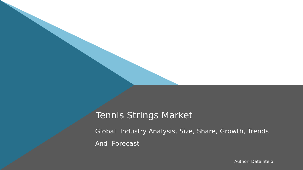 Tennis Strings Market Report | Global Forecast From 2025 To 2033