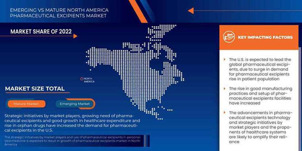 North America Pharmaceutical Excipients Market Size, Share, Demand, Key Drivers, Development Trends and Competitive Outl