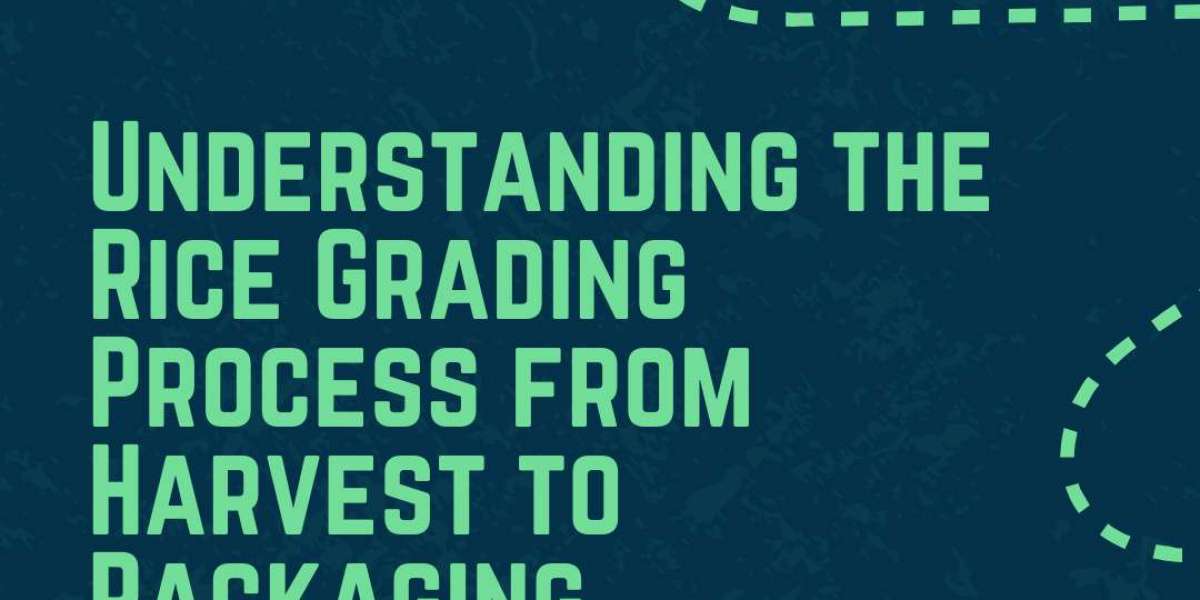 Understanding the Rice Grading Process from Harvest to Packaging