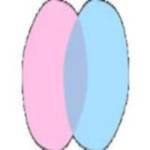 chatdansk11 profile picture