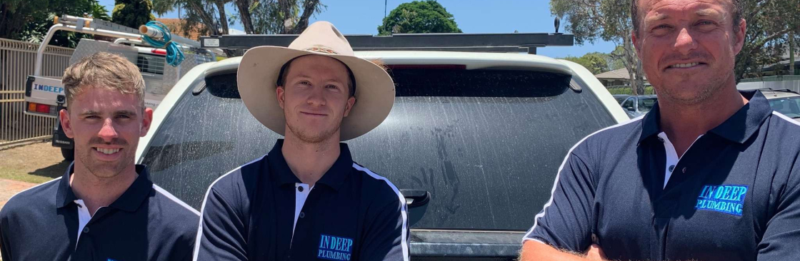 In Deep Plumbing Cover Image