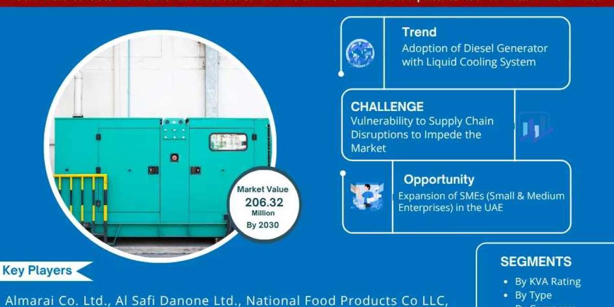 UAE Diesel Generator Market Report 2025–2030: Size, Share, Trends & Forecast