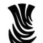 Kilts for men Profile Picture