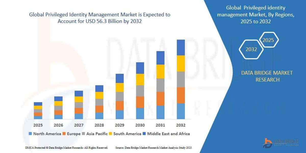 Privileged identity management Market: Growth Opportunities and Forecast 2025 –2032