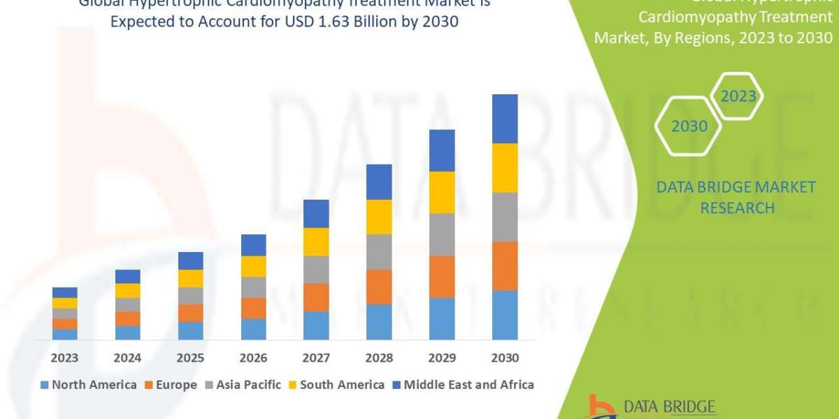 Hypertrophic Cardiomyopathy Treatment Market Demand Trends and Future Forecasts 2030