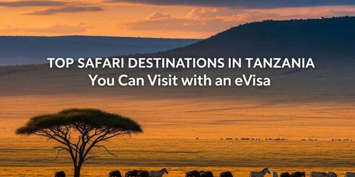 Top Safari Destinations in Tanzania You Can Visit with an eVisa