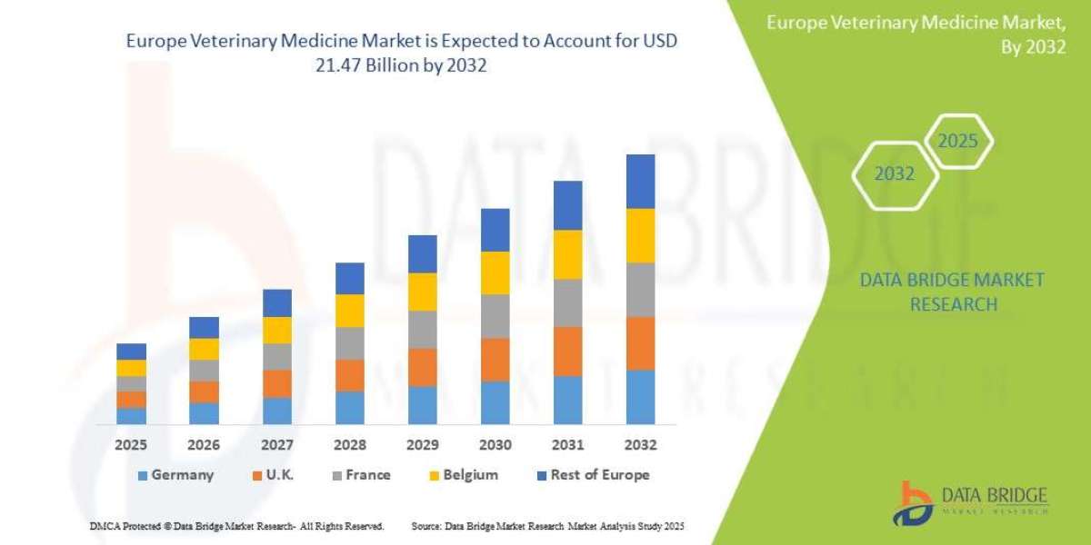 Europe Veterinary Medicine Market Overview: Trends, Challenges, and Forecast 2025 –2032