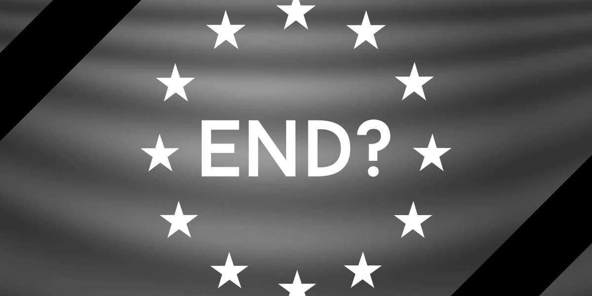 The Rise of Private Jet Charters: A Case Research on the Largest Gamers within The Industry