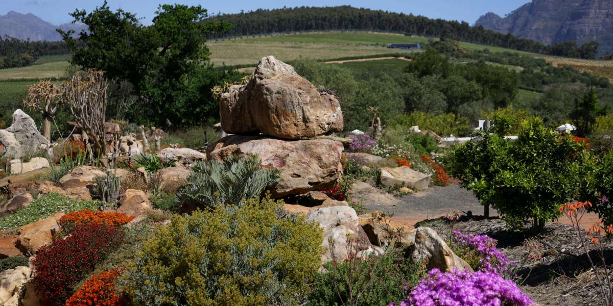 Still Using a Basic Crossbow? Dude, Go Grab a Dread Core Cannonade Crossbow from u4gm Now!