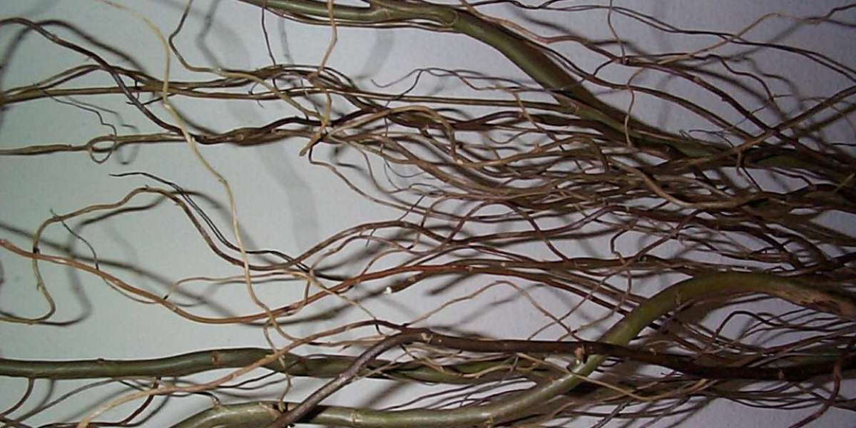 Wachstumshormone gegen das Altern – Ein Überblick
