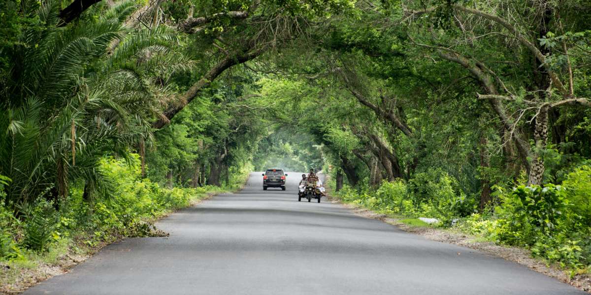 When Chaos Becomes Order: Timing the Market Like a Pro