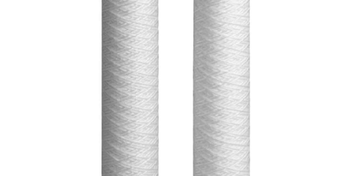 WS Filter Cartridge: Precision Filtration for Clean and Safe Water