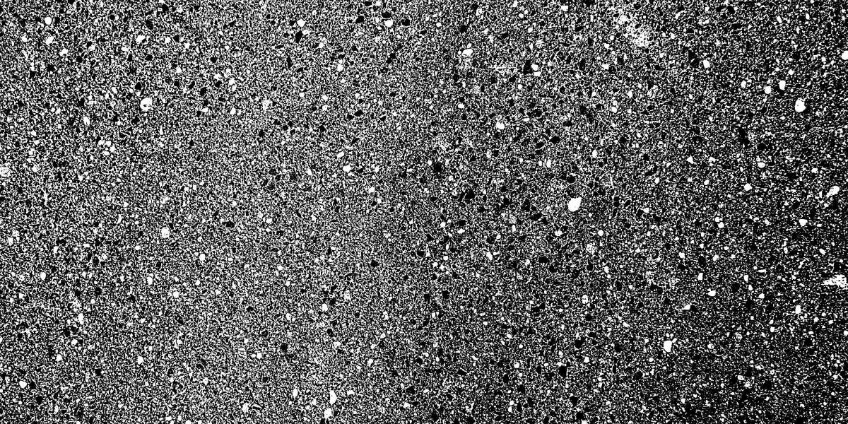 The Rise Of Private Jet Charter Flights: A Comprehensive Evaluation