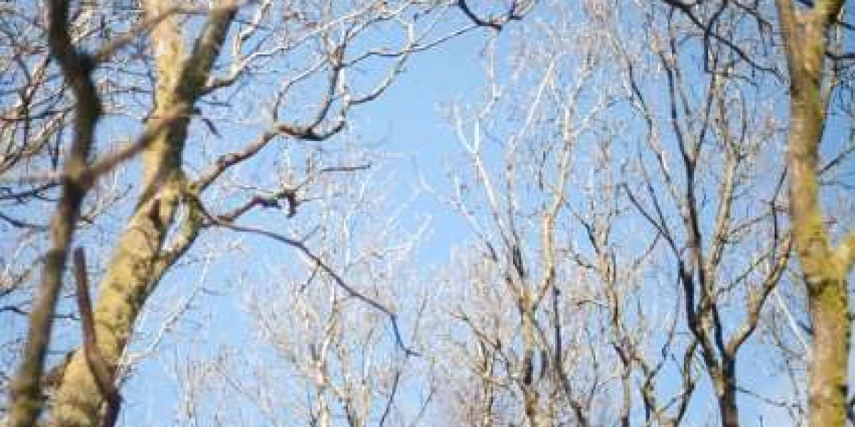 15 Best Online Casinos Australia 2025 Real Money Casino Sites