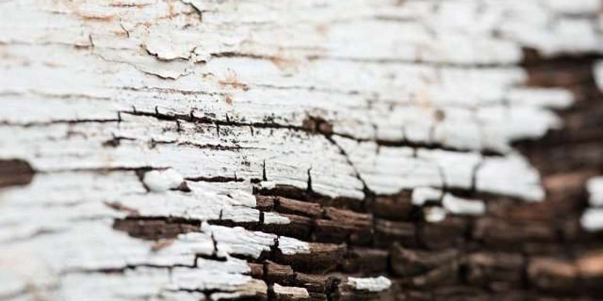 Fair Go Casino Login Sign In to Your Player Account