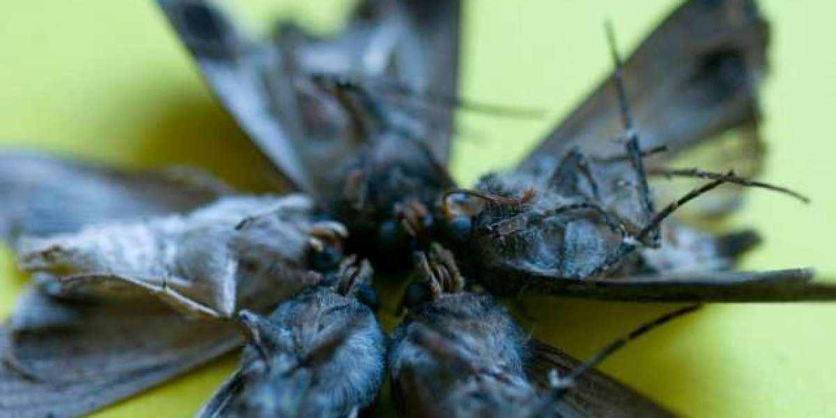 Safe & Quick Access to Your Account