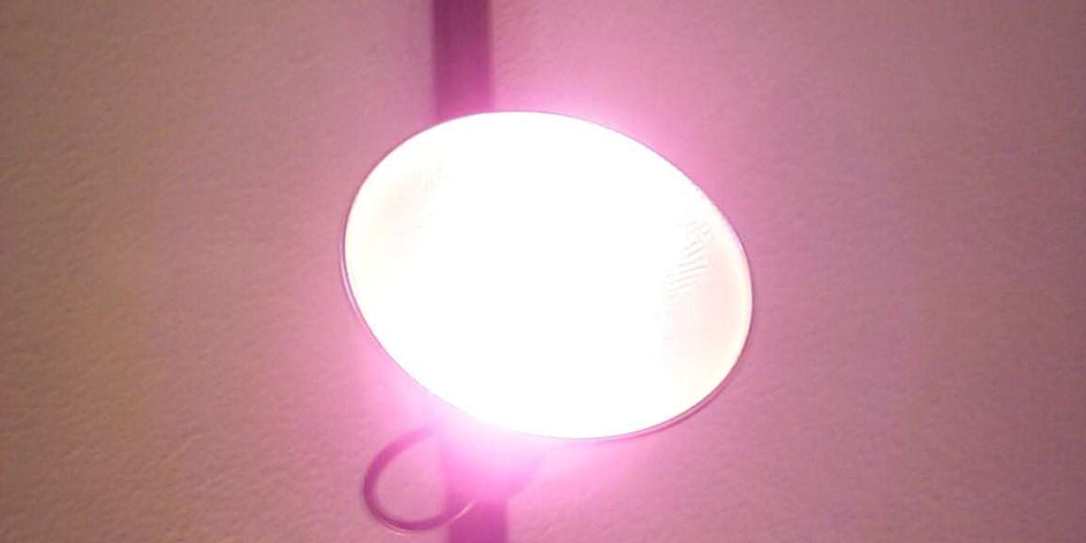 Meet the People Behind the Play