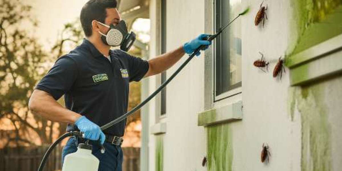 Eco-Friendly San Antonio Pest Control | Safe for Kids & Pets