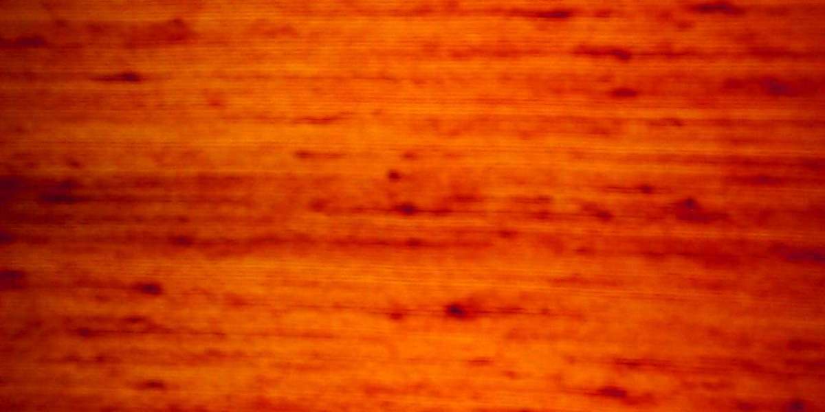 ASX closes up 0 2pc just sort of record high, Star Entertainment suspended after failing to report financials, REA slump