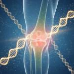 z1knee brace Profile Picture