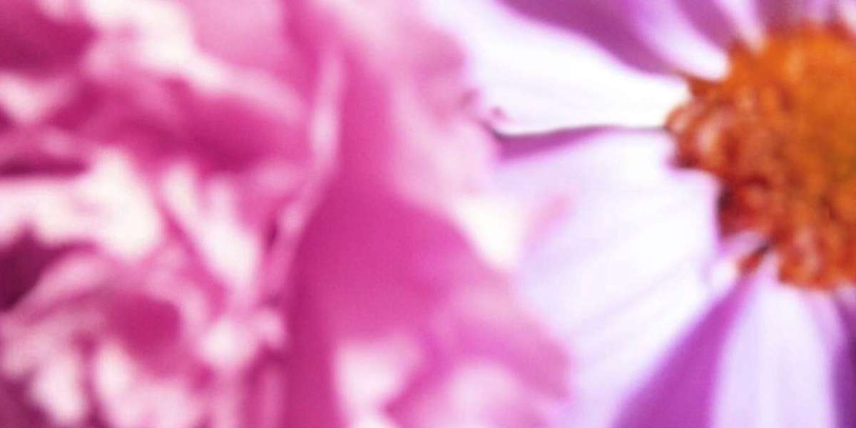 Pokies Online & Live Games in Australia