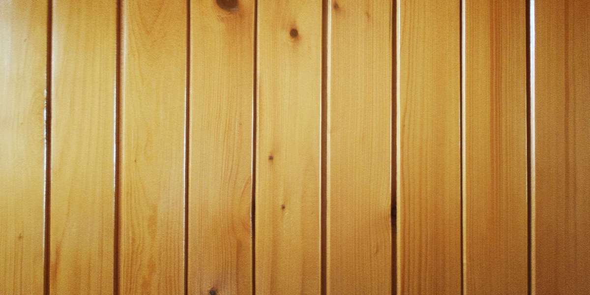 Sugar Daddy Websites In Belfast: A Complete Overview