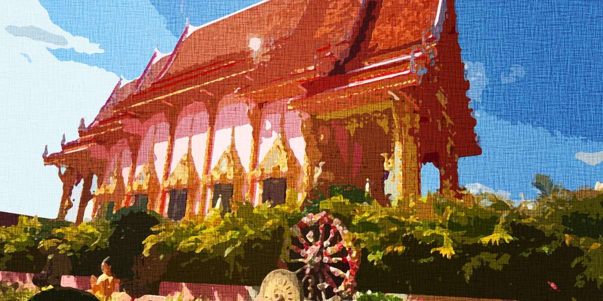 Comprehensive Study Report on Purchasing Modafinil in Germany