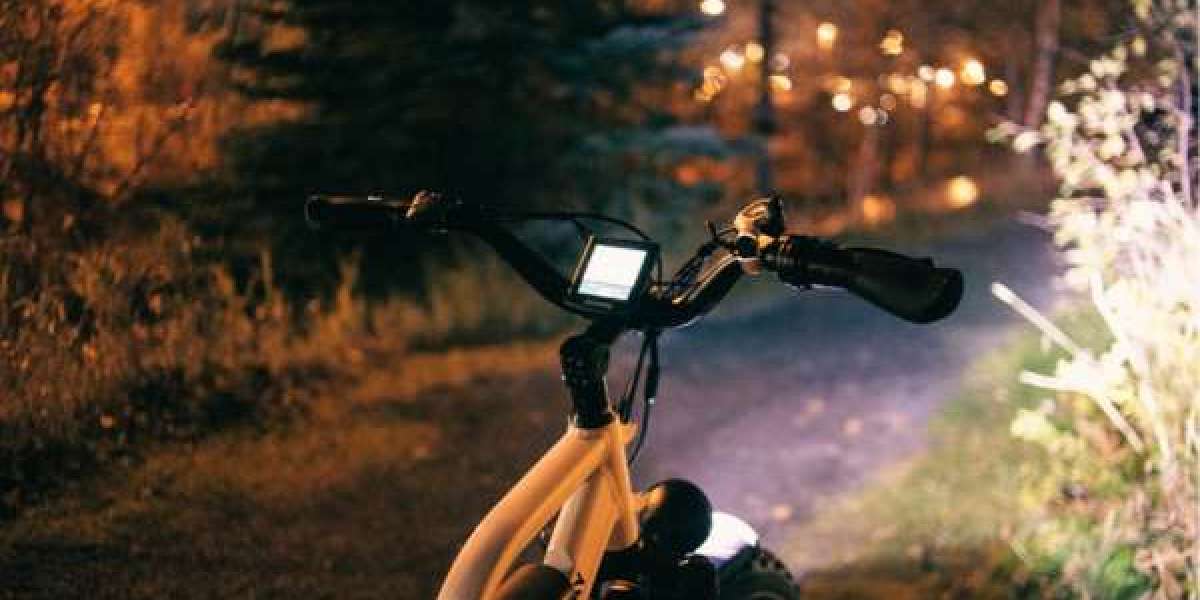 Hurley Electric Bike Review: Beach Cruiser Style Meets Electric Power