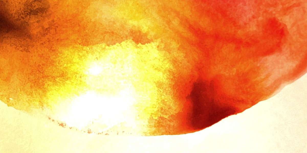 The Rise of Sugar Baby Websites: Understanding the Modern Relationship Dynamic