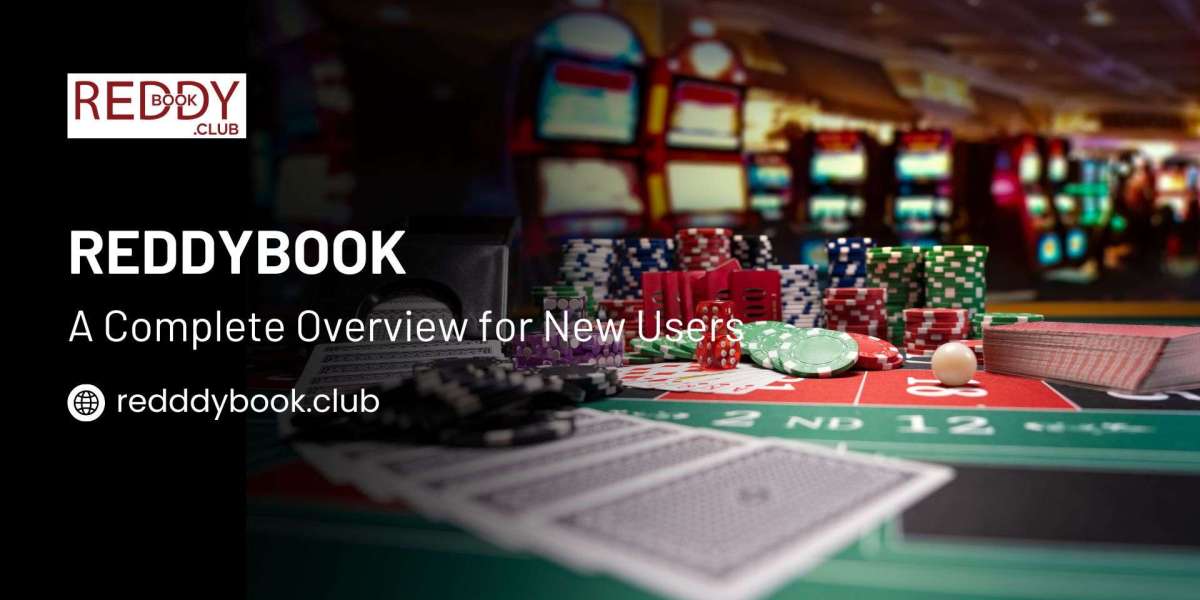 What is a Reddybook? A Complete Overview for New Users