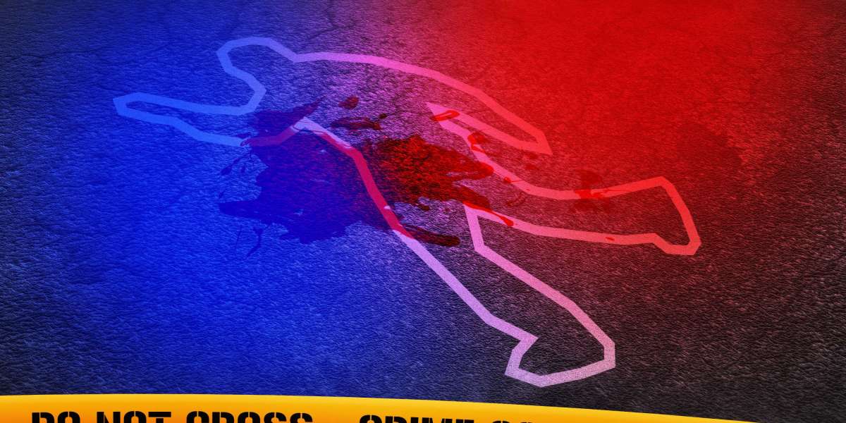 Top Gold IRA Companies: A Complete Observational Analysis