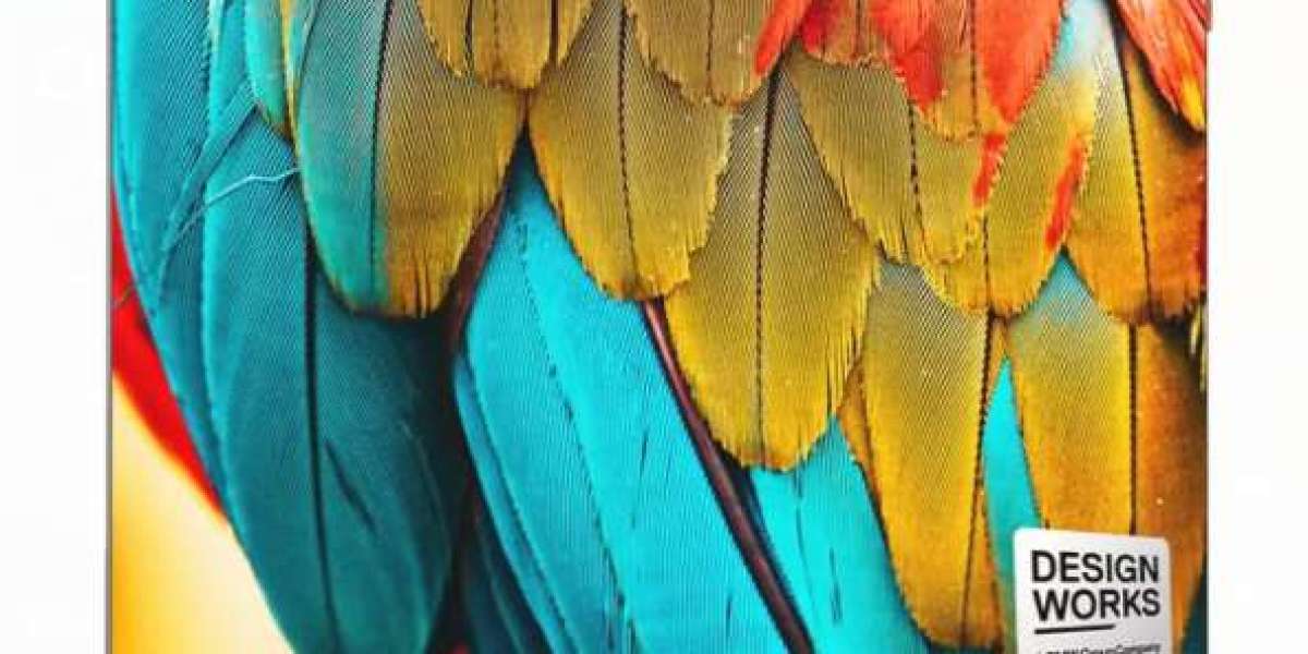 Why a 4K OLED TV Delivers the Most Cinematic Viewing Experience at Home