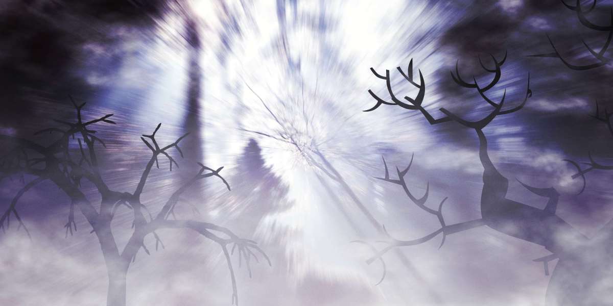 Understanding Modafinil: A Comprehensive Guide to Its Use and Availability Online in the USA