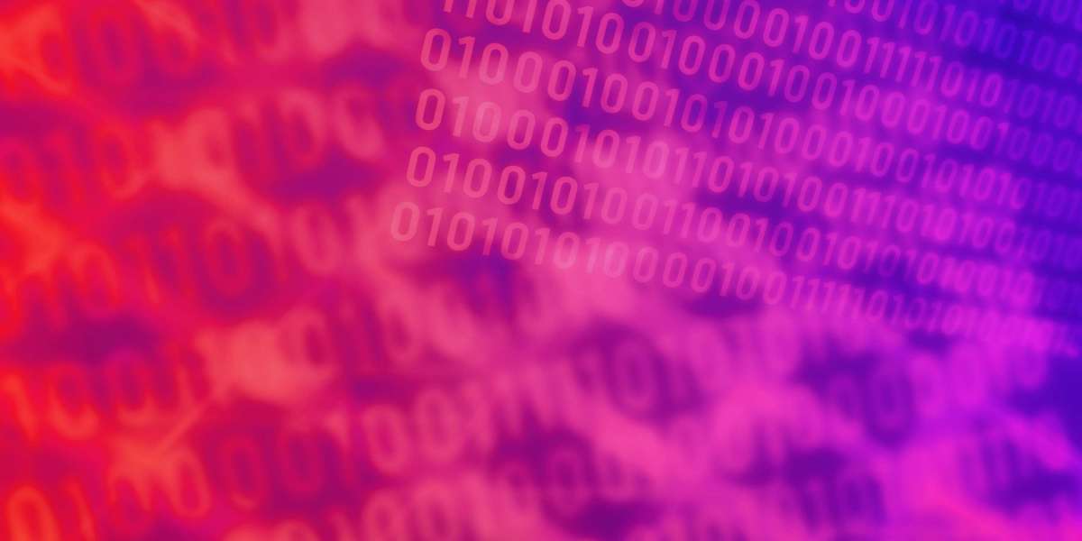 Exploring the Dynamics of Sugar Baby Web Sites: An Observational Study