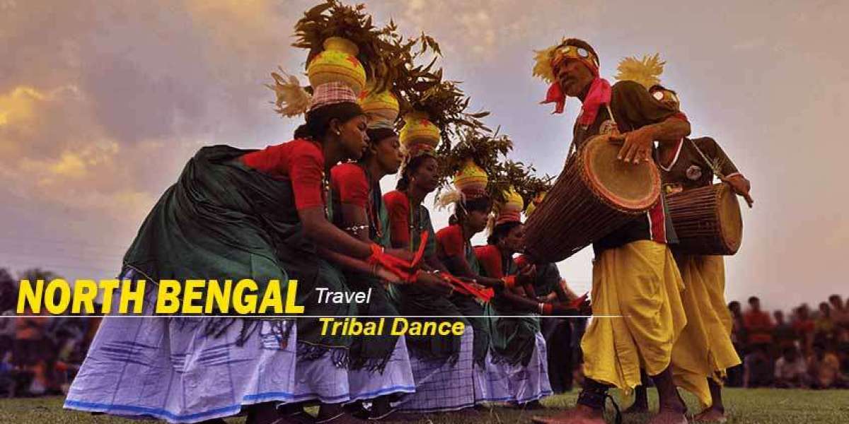 North Bengal Package Tour with Tea Gardens, Forests & Mountain Views