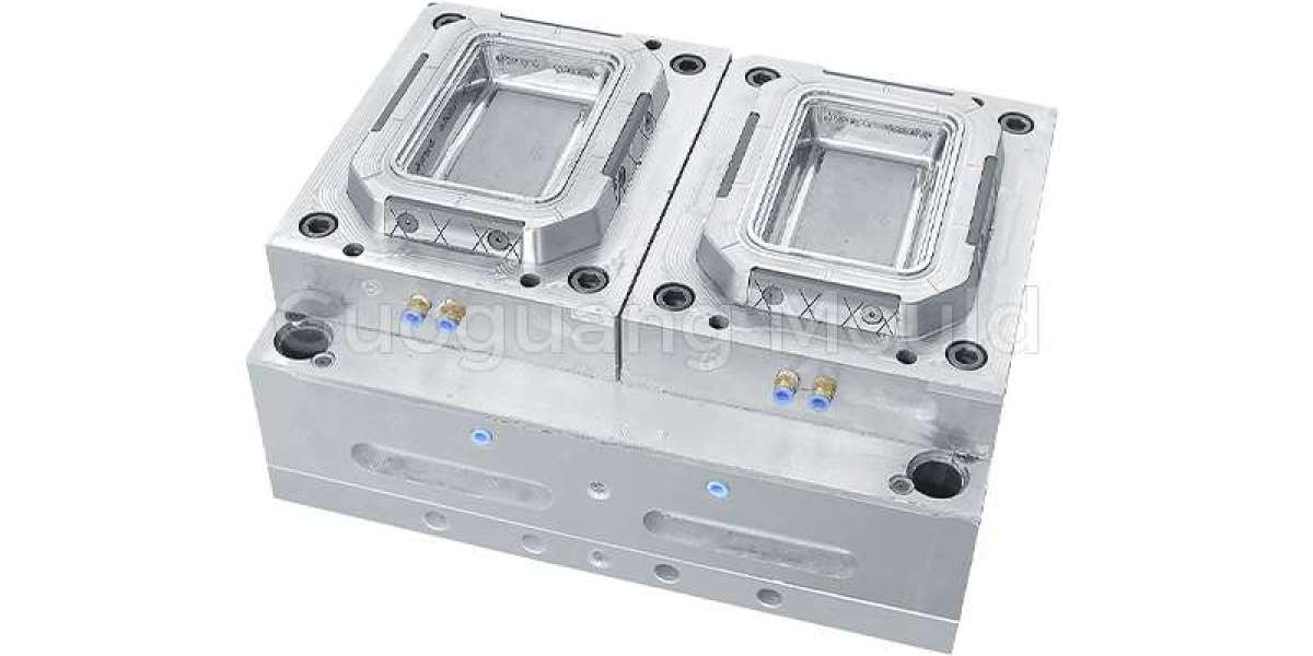 Meeting Market Demands: The Evolution of Food Packaging Molds