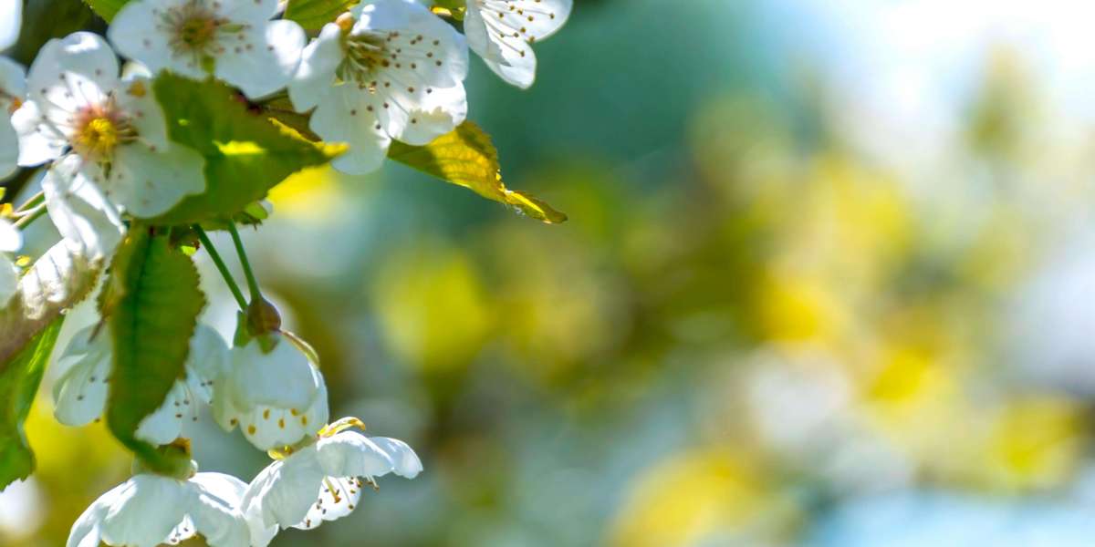 u4gm How To Get Ahead In PoE 2 Patch 0.4 Druid Meta Guide