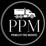 Ali Safi Profile Picture