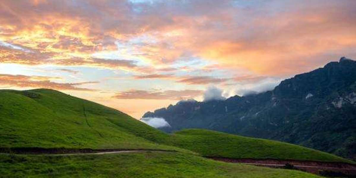 U4GM’s Go-To Druid Guide for PoE2