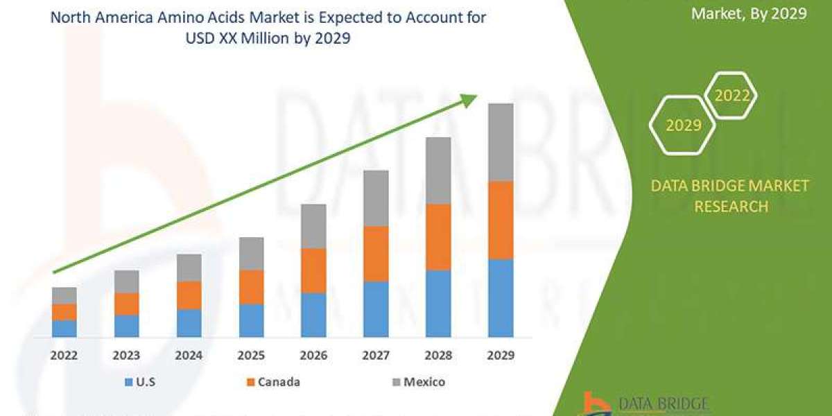 North America Amino Acids Market Size, Share, Trends and Forecast 2025–2032