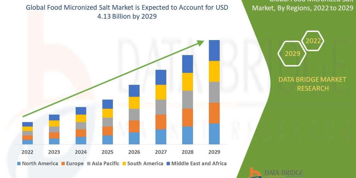 Food Micronized Salt Market Share and Growth Forecast Across Major Regions