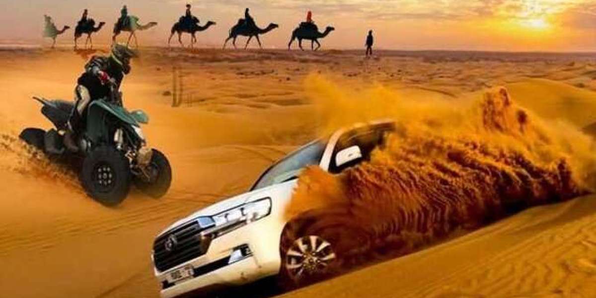Morning vs Evening Desert Safari Sharjah – Which One to Choose?