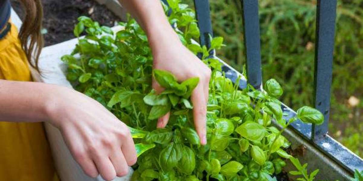 Strategic Outlook for the Global Herbs Ecosystem