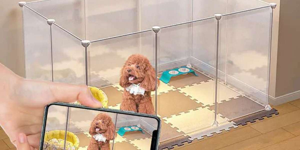 Unfenced Views, Uncompromised Safety: The Pet Fence Solution